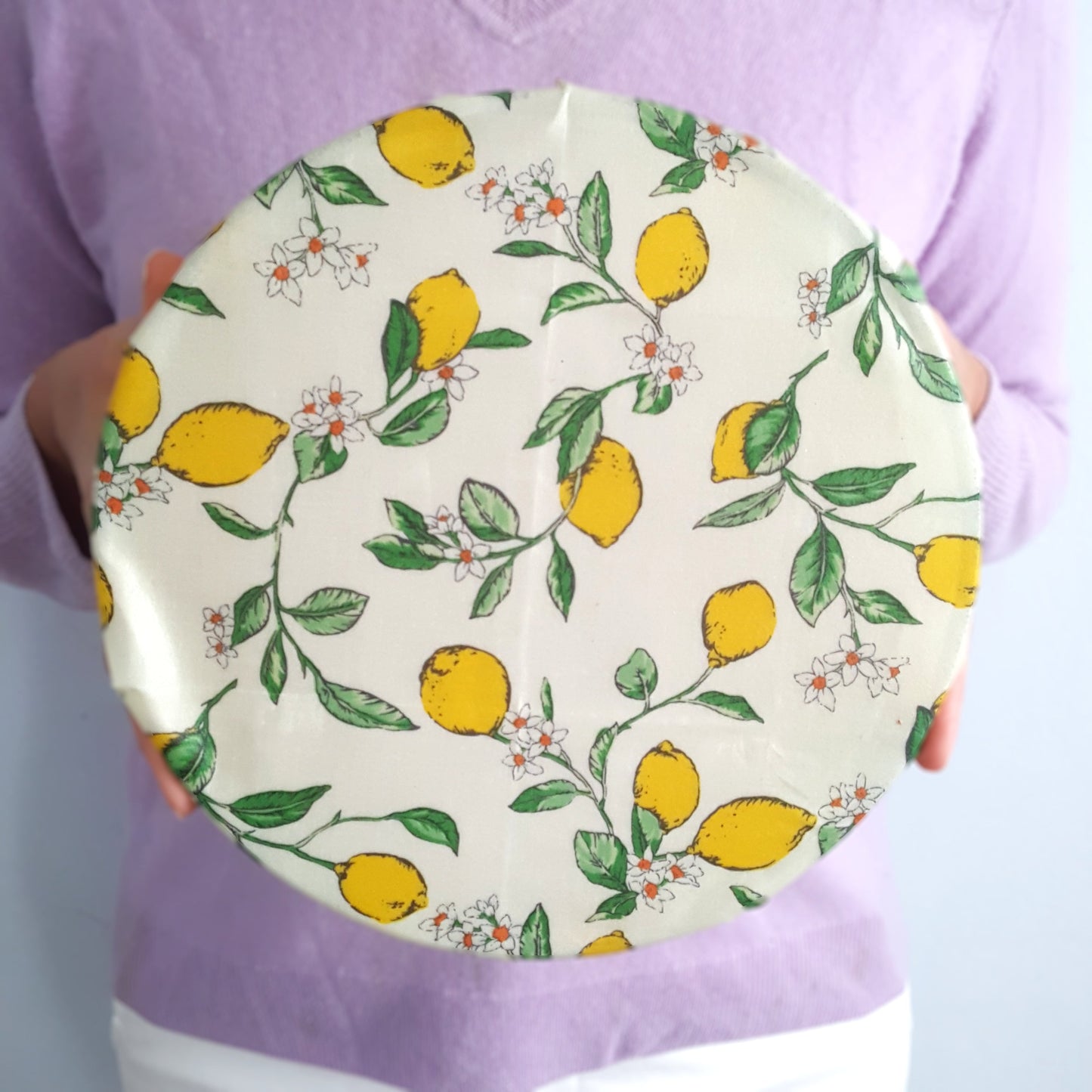 *Set of 2 Large Handmade Beeswax Wraps | Lemony Bees
